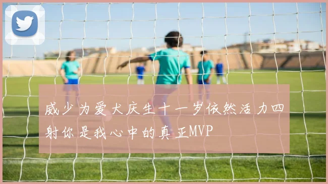 威少为爱犬庆生十一岁依然活力四射你是我心中的真正MVP