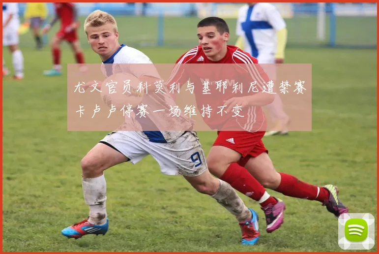 尤文官员科莫利与基耶利尼遭禁赛卡卢卢停赛一场维持不变